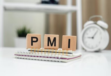 India Services PMI Hits Six Month High in May as Demand Fuels Growth